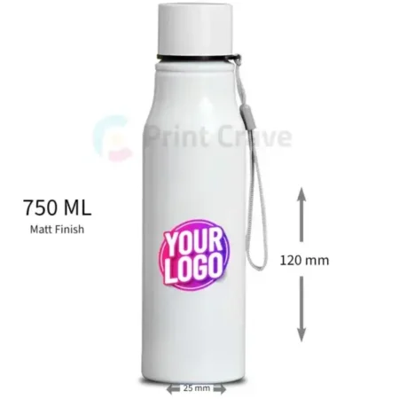 Celsius Temperature Display Water Bottle